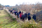 Clicca qui per vedere l'immagine in dettaglio